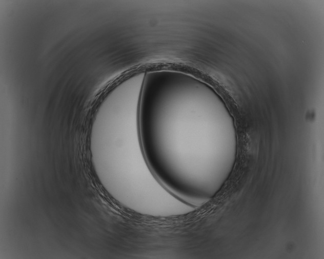 X0000097810872200803140756