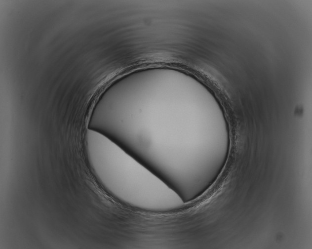 X0000097810873200803140756