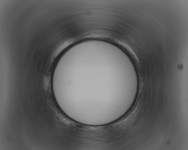X0000097810874200803140756