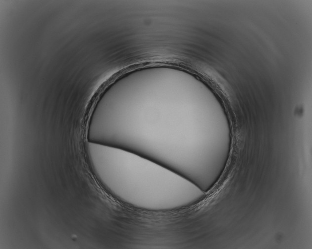 X0000097810875200803140756