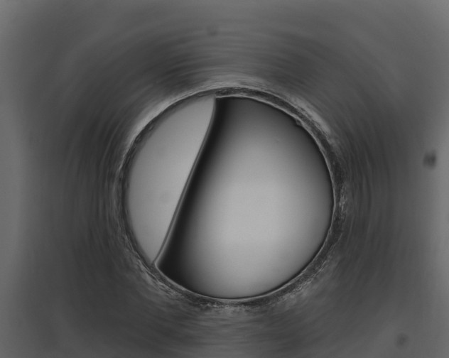 X0000097810877200803140756