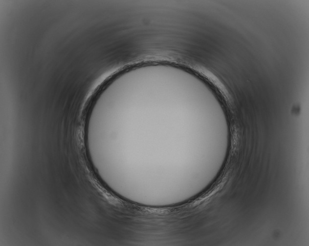 X0000097810878200803140756