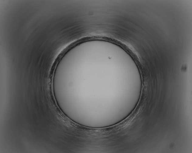 X0000097810879200803140756