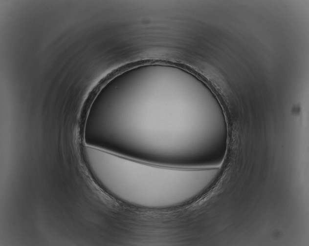 X0000097810880200803140756
