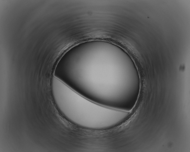X0000097810881200803140756