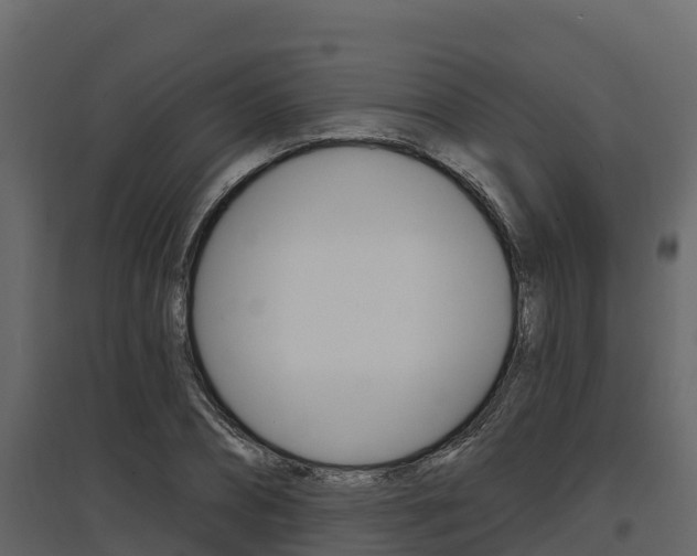 X0000097810882200803140756