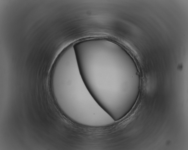 X0000097810883200803140756