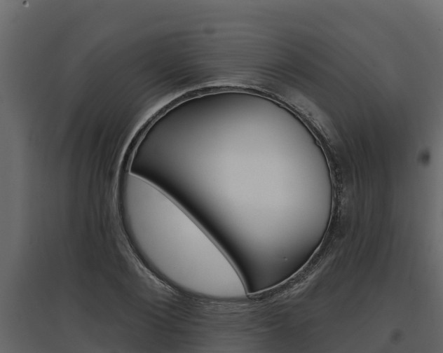 X0000097810884200803140756