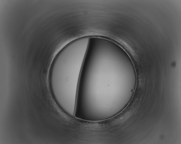 X0000097810885200803140756