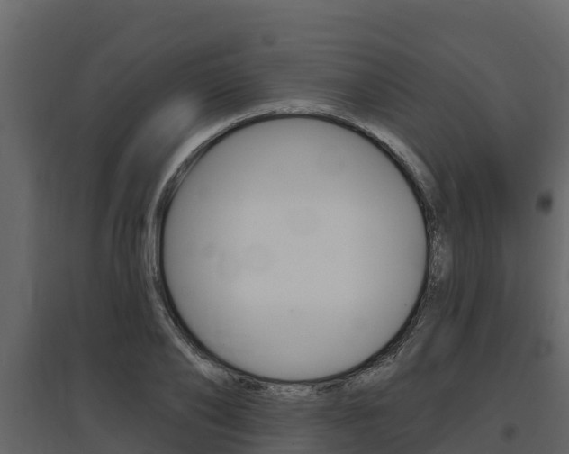 X0000097810886200803140756