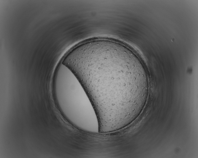 X0000097810887200803140756