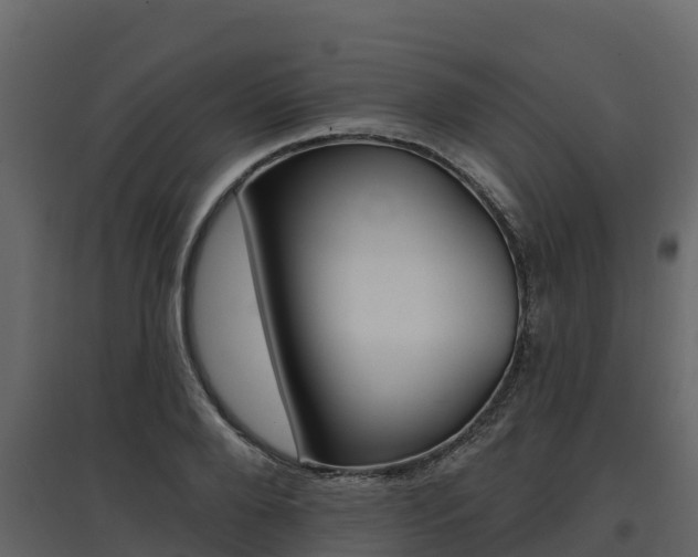 X0000097810888200803140756