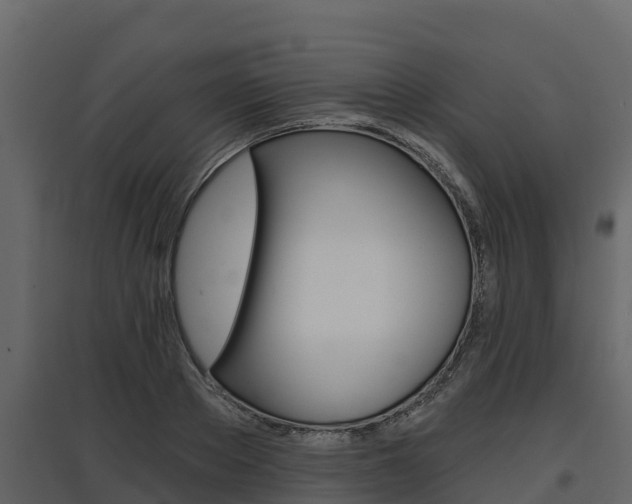 X0000097810889200803140756