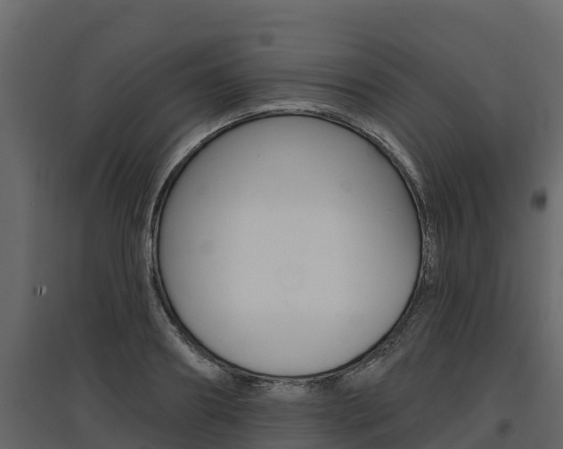 X0000097810890200803140756