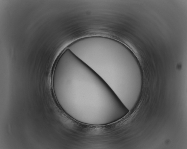 X0000097810891200803140756