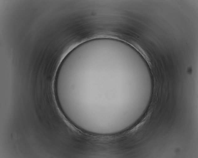 X0000097810893200803140756