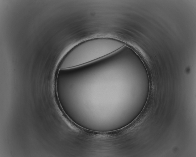 X0000097810894200803140756