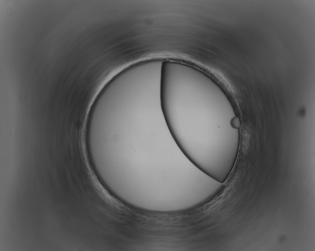 X0000097810895200803140756