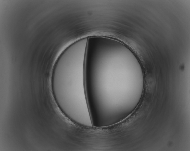 X0000097810896200803140756