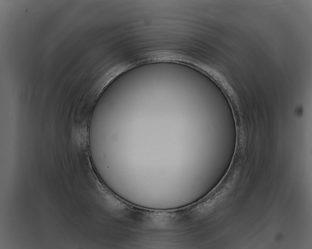 X0000097810897200803140756