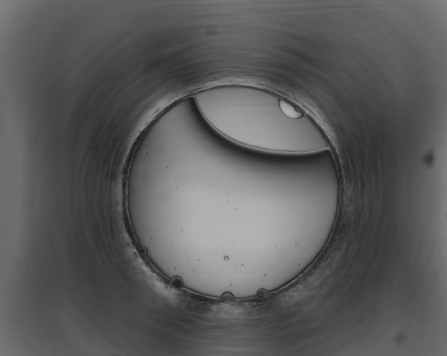 X0000097810898200803140756