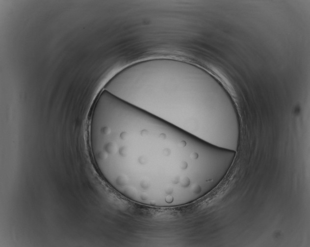 X0000097810899200803140756