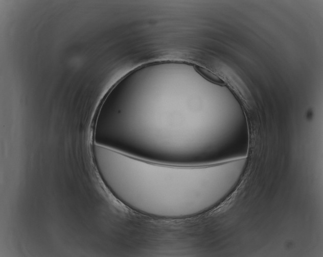 X0000097810900200803140756