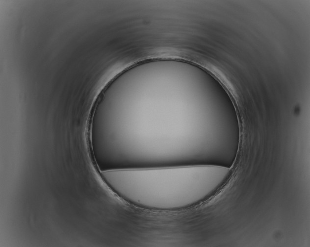 X0000097810901200803140756