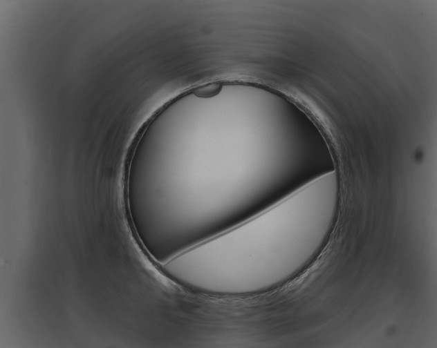 X0000097810902200803140756