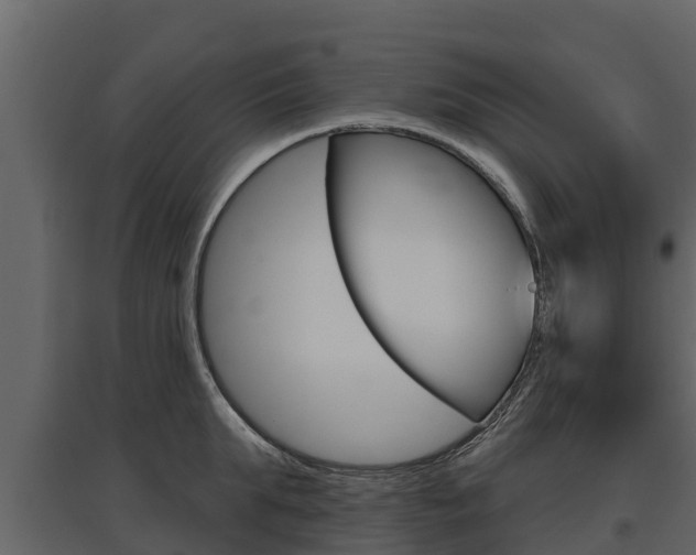 X0000097810903200803140756