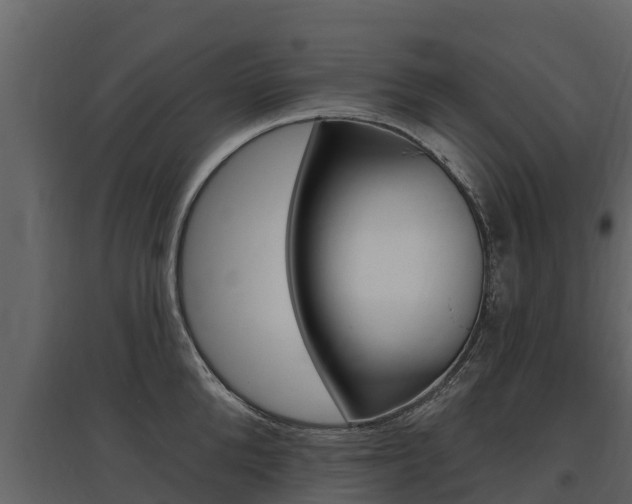 X0000097810904200803140756