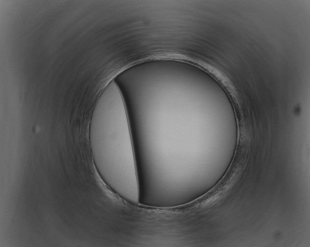 X0000097810905200803140756