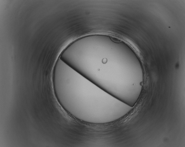 X0000097810907200803140756