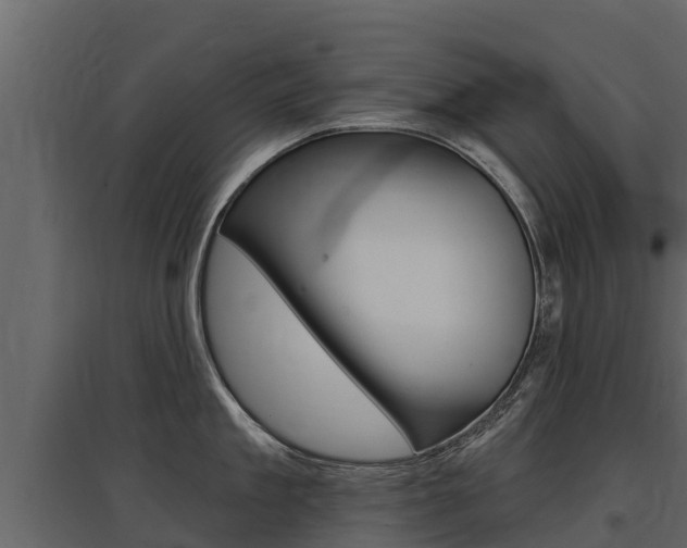 X0000097810909200803140756