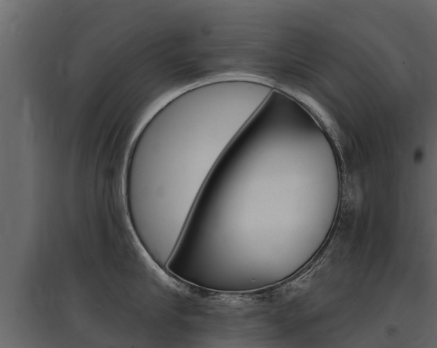 X0000097810910200803140756