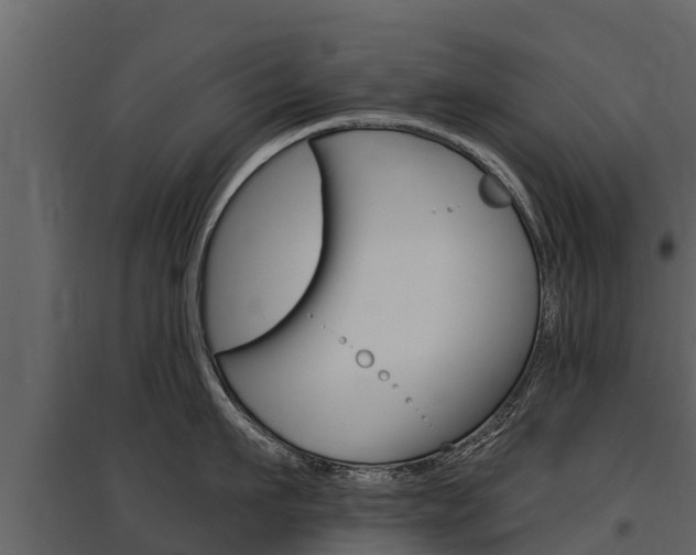 X0000097810911200803140756