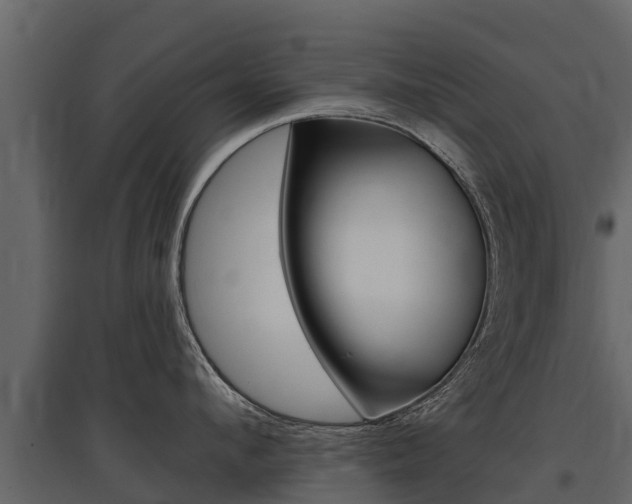X0000097810912200803140756