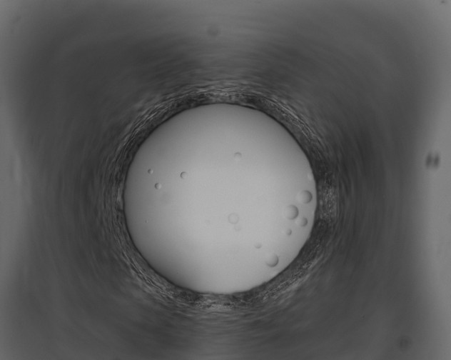 X0000097810913200803140755