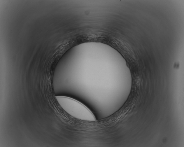 X0000097810914200803140755