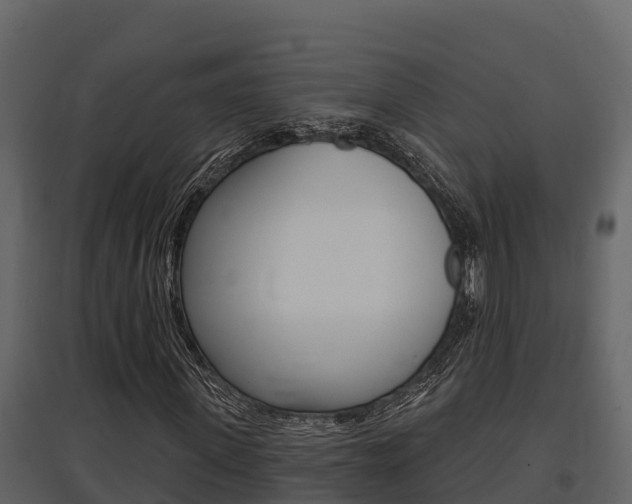 X0000097810915200803140755