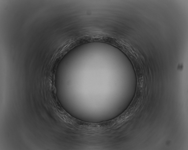 X0000097810916200803140755