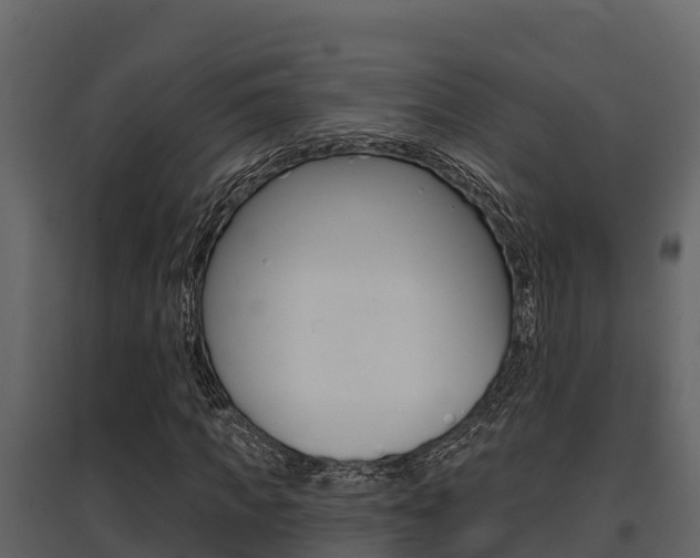 X0000097810917200803140755