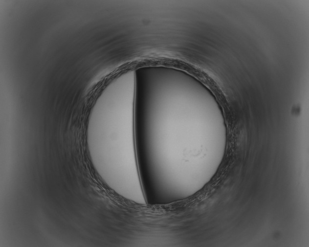 X0000097810919200803140755