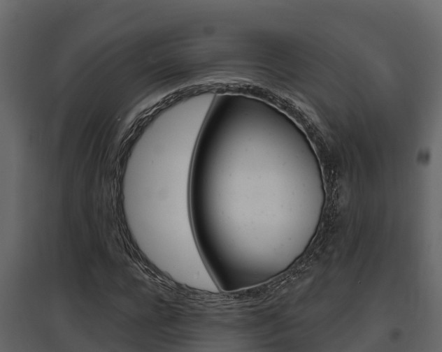 X0000097810920200803140755