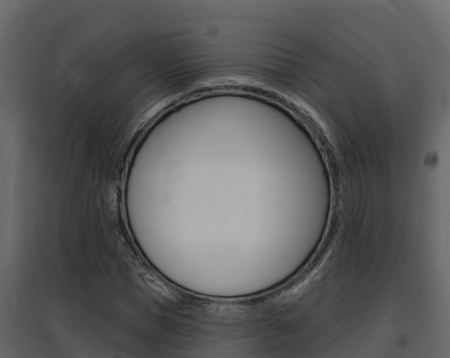 X0000097810921200803140755