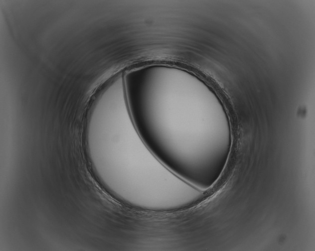 X0000097810922200803140755