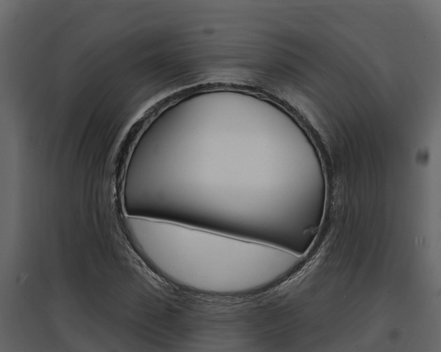 X0000097810923200803140755