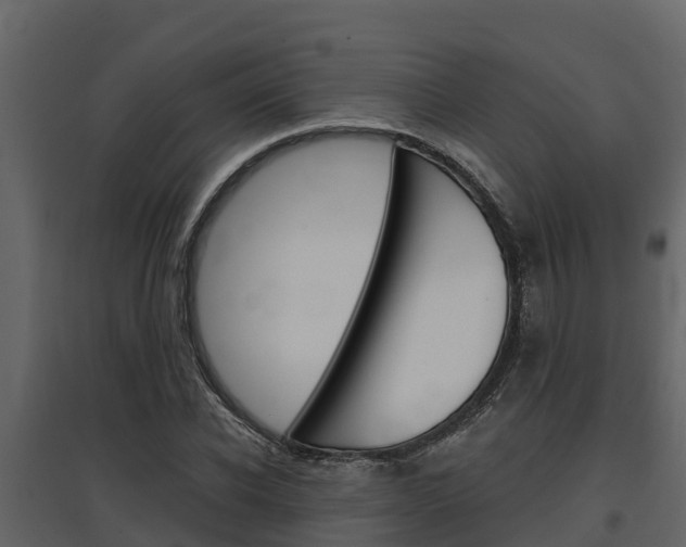 X0000097810926200803140755