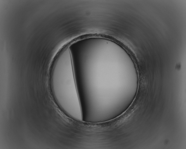 X0000097810927200803140755