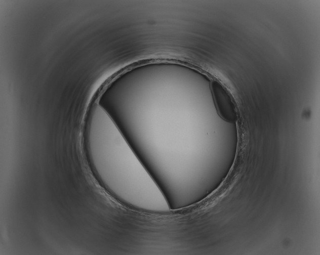 X0000097810928200803140755